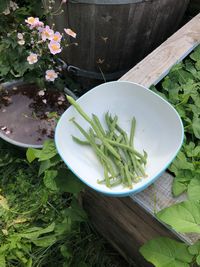 High angle view of green beans in bowl