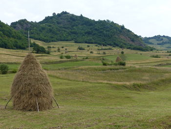 Scenic view of farm against sky