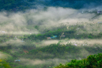 Scenic view of trees during rainy season