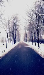 Empty road passing through trees