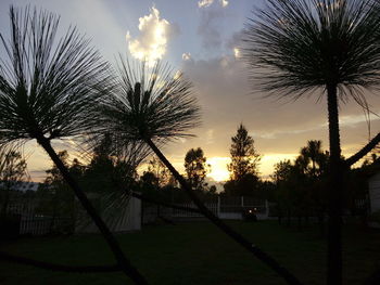 Silhouette palm trees against sky during sunset