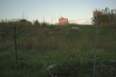 Built structure on field