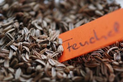 Cleaned organic fennel seeds preseted for sales. organic breeding and multiplication demeter