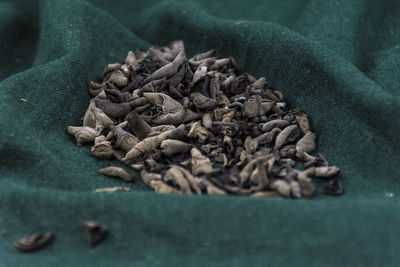 Close-up of dried food on green fabric