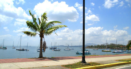 Sailboats in sea against cloudy sky