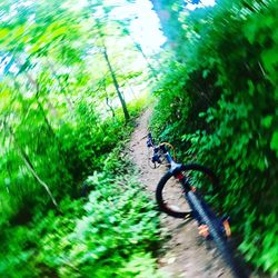 High angle view of bicycle on road