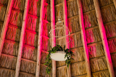 Low angle view of decoration hanging in room