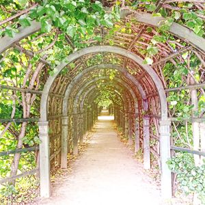 Walkway leading to building