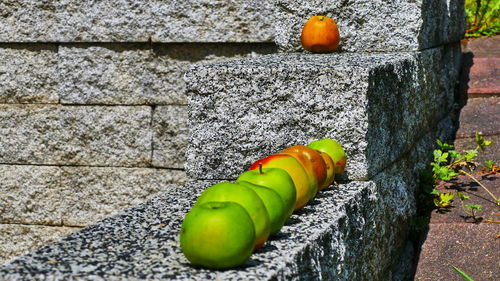 Close-up of fruits on plant against wall