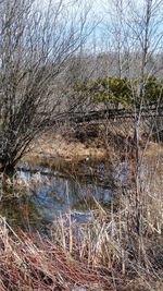 Full frame shot of water