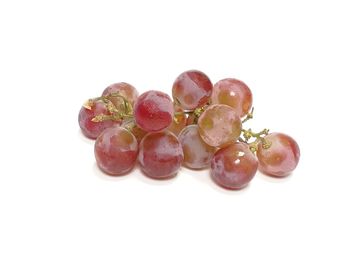 Close-up of berries over white background