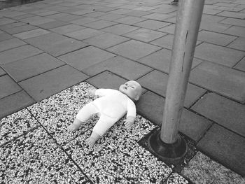 human representation