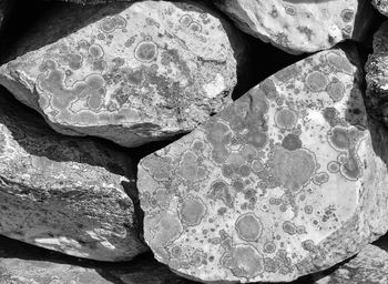 High angle view of stones in water