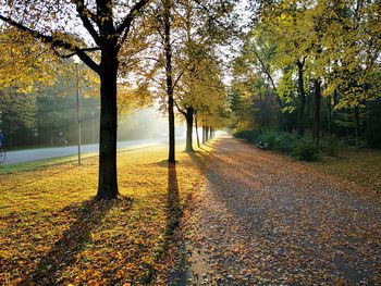 Footpath amidst trees in park during autumn