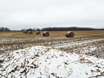 Hay bales on field against sky during winter