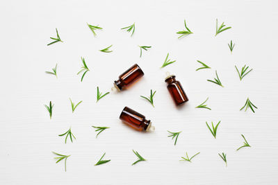 Close-up of bottles and leaves over white background