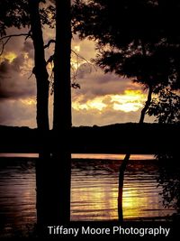 Silhouette trees by lake against sky during sunset