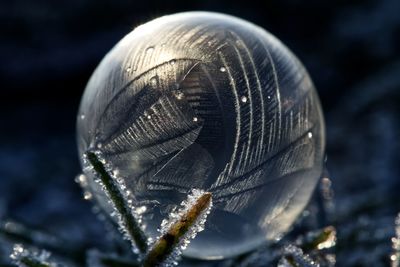 Close-up of frozen soap bubble 