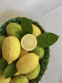 Freshly picked lemons from my backyard 