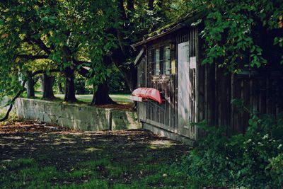 Abandoned house by trees in forest