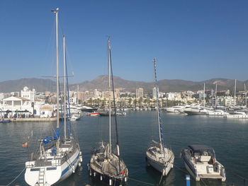 Sailboats moored at harbor against clear sky