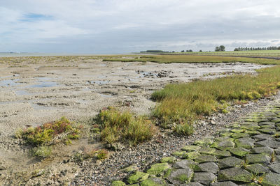 Scenic view of land against sky