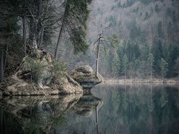 Reflection of trees in lake against sky