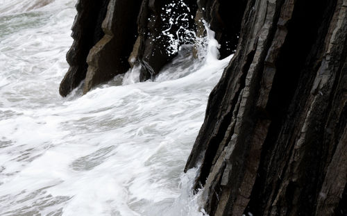 Close-up of water flowing through tree trunk