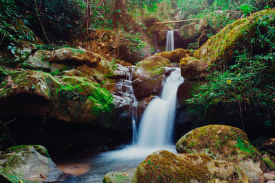 Scenic view of waterfall in forest