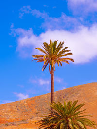 Beautiful volcanic landscape wallpaper. tropical location.travel. canary islands. fuerteventura