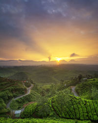 Scenic view of agricultural field against sky during sunset