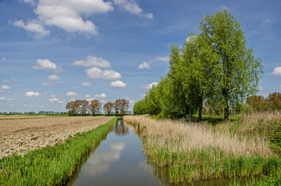 Nostalgic agricultural landscape with fields, a ditch and rows of trees 