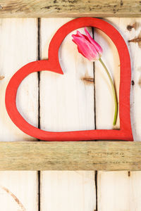 Directly above shot of red flower on table against wall