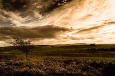 Scenic view of landscape against cloudy sky