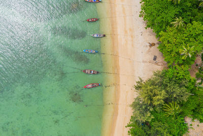 Aerial view of phi phi, maya beach with blue turquoise seawater,