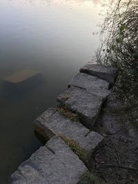 Close-up of rock by lake