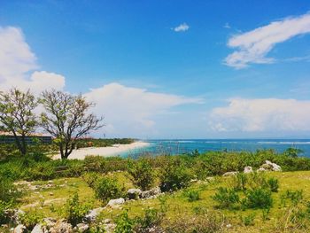 Scenic view of sea against blue sky