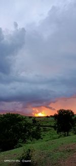 Scenic view of field against sky during sunset