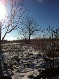 tree