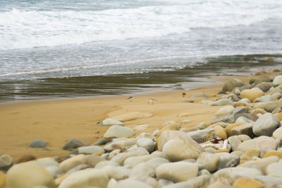 Surface level of stones on beach