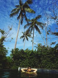 Palm trees against cloudy sky