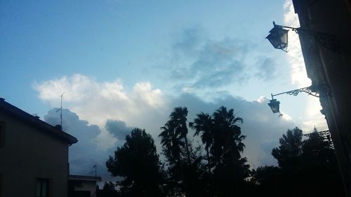 Low angle view of silhouette trees against sky