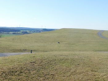 Scenic view of field against clear sky