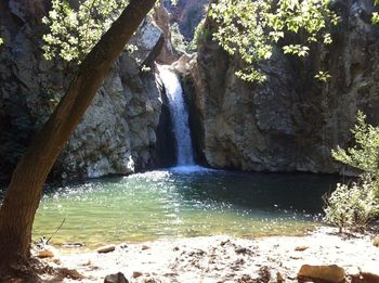 Scenic view of waterfall in forest