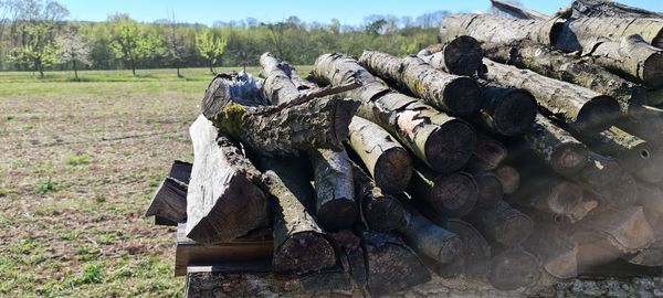 Stack of rocks on field