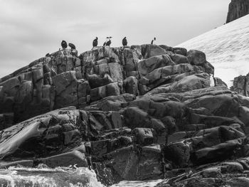 Group of people on rock against sky