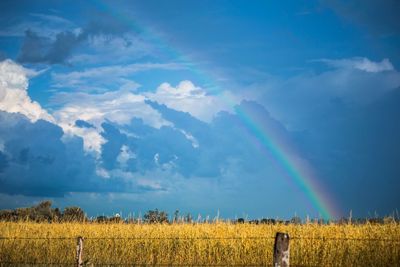 Scenic view of field against rainbow in sky