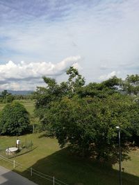 View of trees against sky