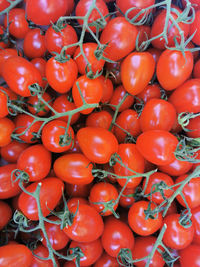 Full frame shot of tomatoes