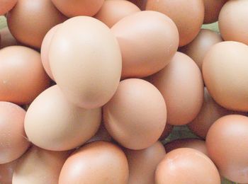 Full frame shot of eggs